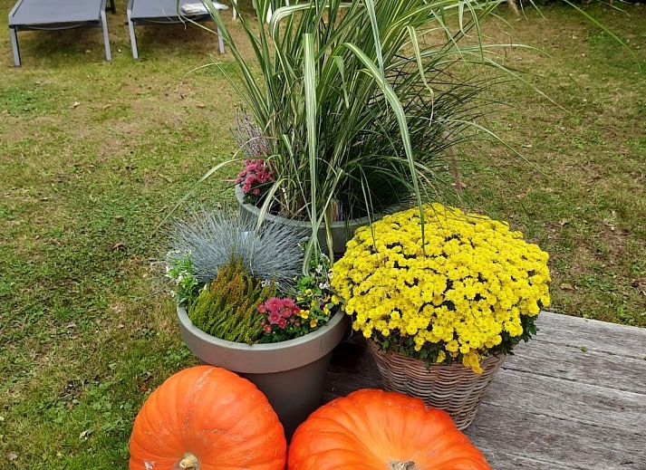 Guest house 610411 - Holiday property Tholen - Vakantiehuis Schöne Familien-Ferienwohnung in Zeeland