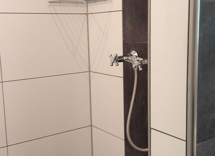 Guest house 610414 - Holiday property Tholen - Vakantiehuis mit Garten, Grill und Terrasse