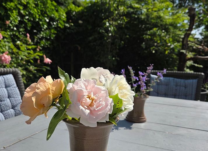 Guest house 610458 - Holiday property Tholen - Vakantiehuis für 6 Personen