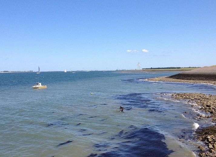 Guest house 610462 - Holiday property Tholen - Vakantiehuis Schöne Ferienhaus in einem familienfreundliche