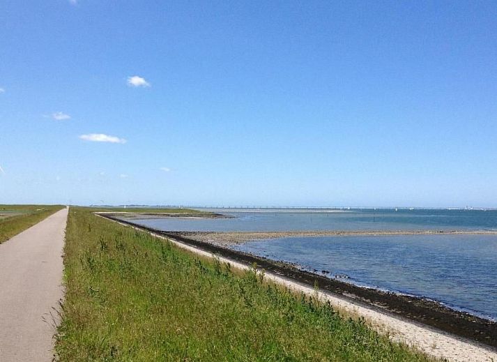 Guest house 610462 - Holiday property Tholen - Vakantiehuis Schöne Ferienhaus in einem familienfreundliche