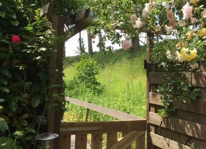 Guest house 610463 - Holiday property Tholen - Vakantiehuis 65 Quadratmeter in Stavenisse