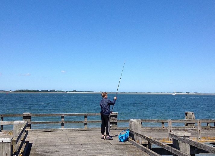 Guest house 610472 - Holiday property Tholen - Vakantiehuis in einem familienfreundlichen Ferienpark