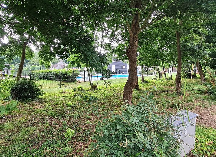 Guest house 610478 - Holiday property Tholen - Vakantiehuis "Buurtweg 121"