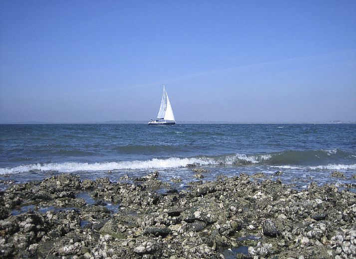 Unterkunft 610479 - Ferienhaus Tholen - Vakantiehuis am Meer in Zeeland