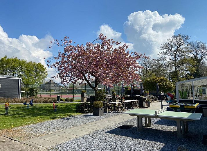 Guest house 610482 - Holiday property Tholen - Vakantiehuis "Buurtweg 61"