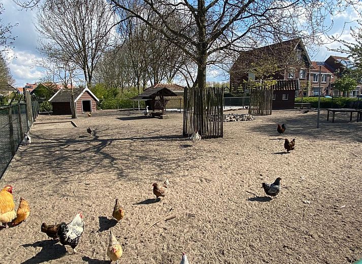 Guest house 610482 - Holiday property Tholen - Vakantiehuis "Buurtweg 61"