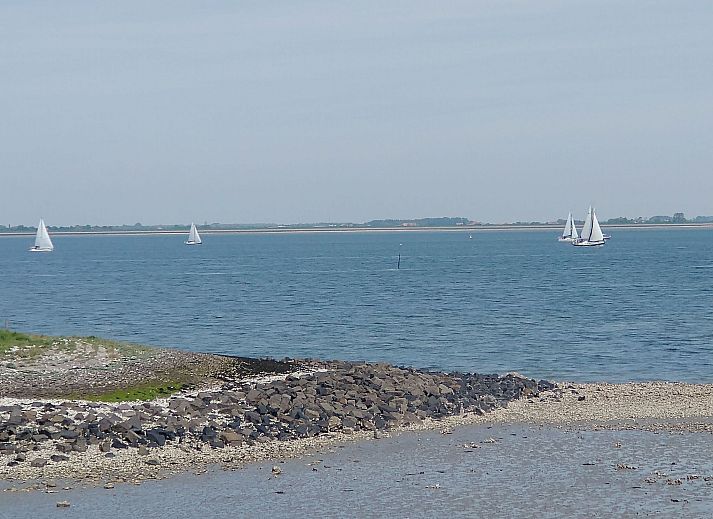 Guest house 610485 - Holiday property Tholen - Vakantiehuis Buurtweg 13