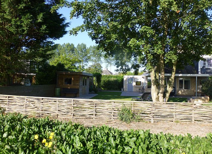Guest house 610701 - Holiday property Tholen - Vakantiehuis Neuer schöner Bungalow