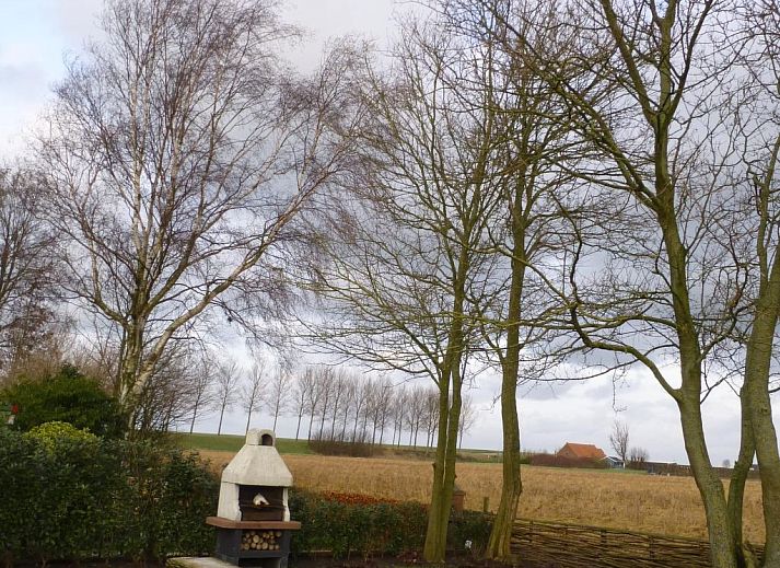 Guest house 610701 - Holiday property Tholen - Vakantiehuis Neuer schöner Bungalow