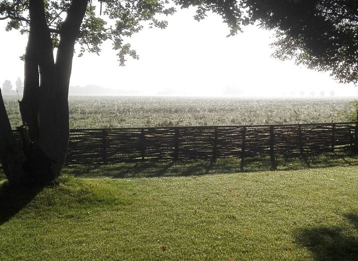 Guest house 610701 - Holiday property Tholen - Vakantiehuis Neuer schöner Bungalow