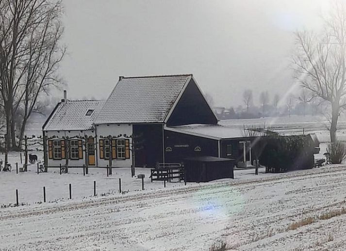Guest house 611007 - Holiday property Tholen - Huisje in Scherpenisse