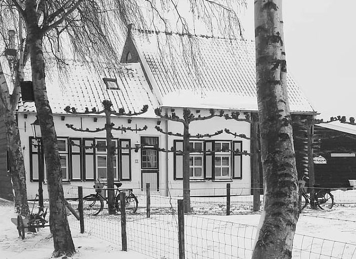 Guest house 611007 - Holiday property Tholen - Huisje in Scherpenisse