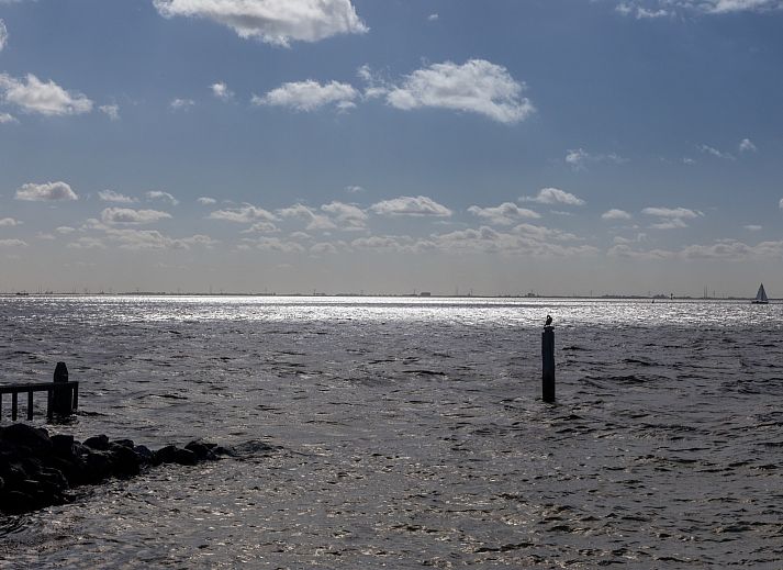 Appartement in Scherpenisse, Zeeland met prachtig uitzicht op zee, gelegen in Tholen. Geniet van de unieke architectuur en serene omgeving.