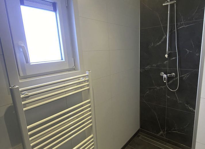 Outdoor pool at Holiday home De Schelde in Scherpenisse, Tholen, Zeeland, surrounded by greenery.