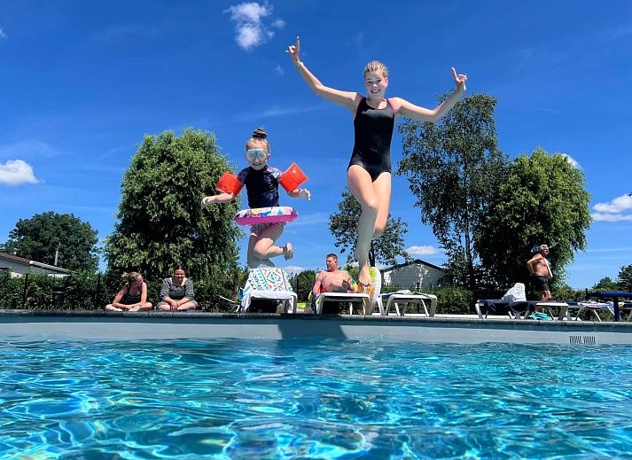 Outdoor pool at Holiday home De Schelde in Scherpenisse, Tholen, Zeeland, surrounded by greenery.