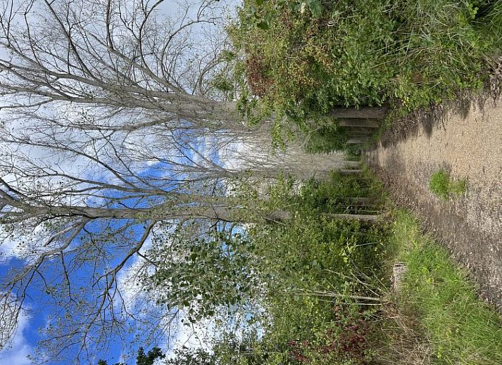 Guest house 611050 - Holiday property Tholen - Vakantiehuis De Oosterschelde