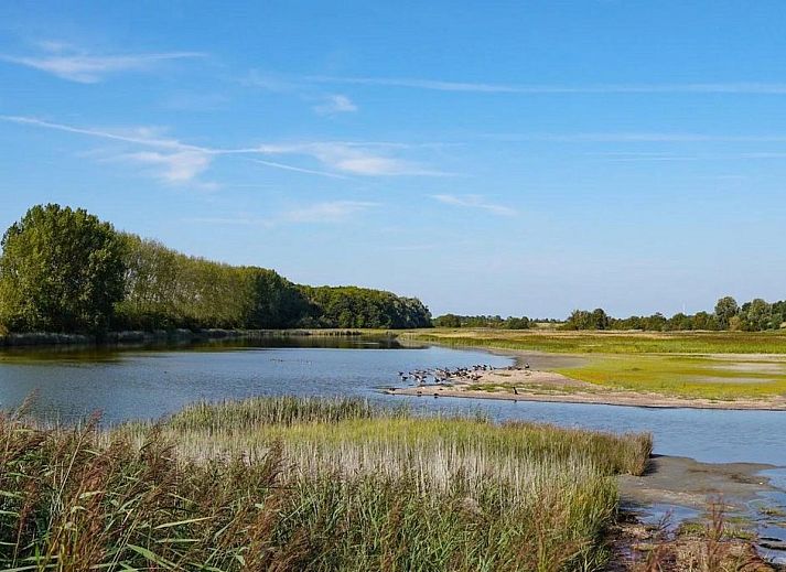 Guest house 611057 - Holiday property Tholen - VZ1150 Vakantiechalet in Scherpenisse