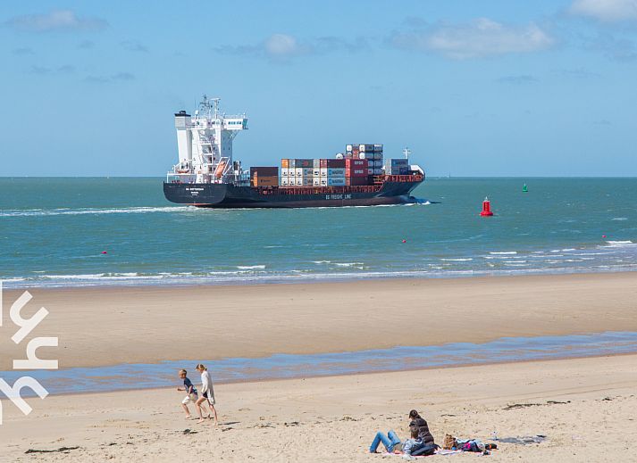 Guest house 6201101 - Holiday property Walcheren - ZE1716