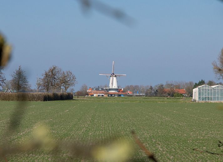 Unterkunft 6201139 - Ferienhaus Walcheren - Verkorte Groeneweg 2