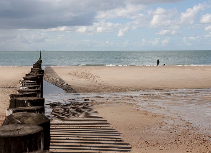 Bosrijk pad nabij Vakantiehuisje in Koudekerke, omgeven door natuur op Walcheren, Zeeland.