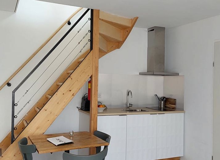 Bosrijk pad nabij Vakantiehuisje in Koudekerke, omgeven door natuur op Walcheren, Zeeland.