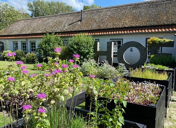Huisje in Koudekerke met kleurrijke tuin, vakantiehuis in Walcheren, Zeeland.