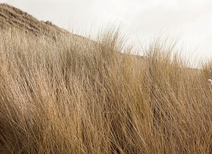 Knusse slaapkamer in Huisje in Koudekerke, vakantieaccommodatie in Zeeland.