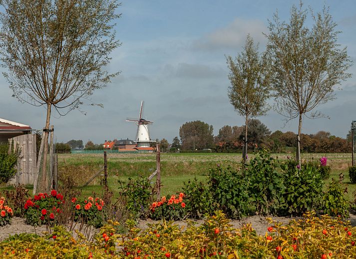 Gemuetliches Wohnzimmer im Ferienhaus 'T Bloemenhof Koudekerke mit bunter Blumenwand, Walcheren, Zeeland.