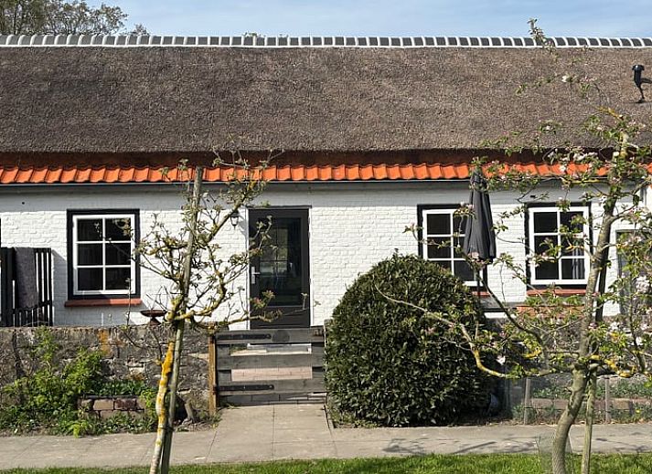 Unterkunft 620191 • Appartement Walcheren • Appartement Duinhof Dishoek - 6 personen sauna