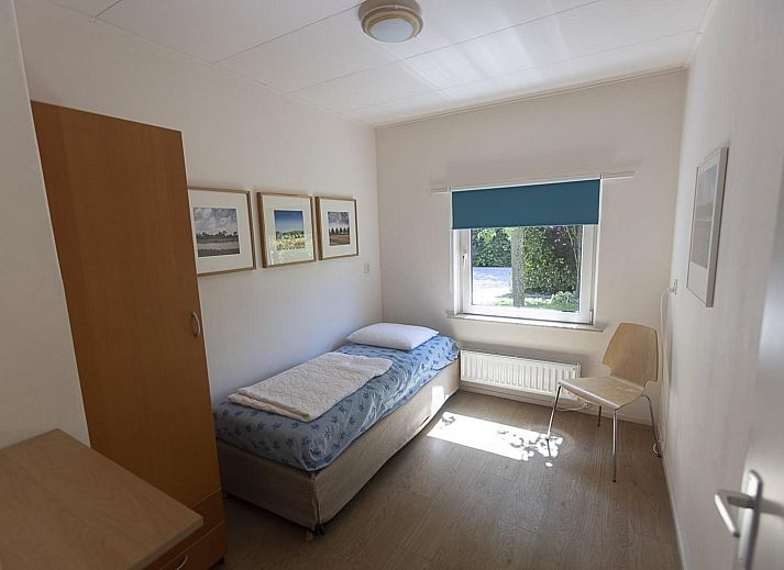 Bloeiende rozen in de tuin van VZ2404 Vakantiehuis in Oostkapelle, Walcheren, Zeeland.