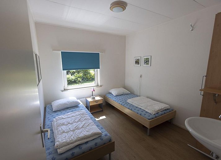 Bloeiende rozen in de tuin van VZ2404 Vakantiehuis in Oostkapelle, Walcheren, Zeeland.