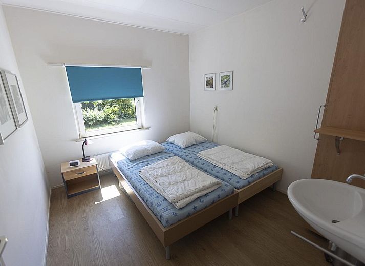 Bloeiende rozen in de tuin van VZ2404 Vakantiehuis in Oostkapelle, Walcheren, Zeeland.