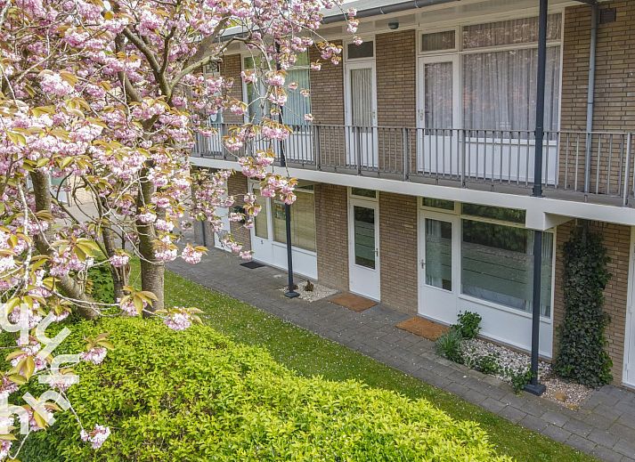 Moderne Kueche des Ferienhauses ZE744 in Oostkapelle, Walcheren, Zeeland mit Holzschraenken und Einbaugeraeten.