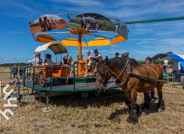 Zweites Schlafzimmer mit zwei Betten im Ferienhaus ZE473, Oostkapelle.