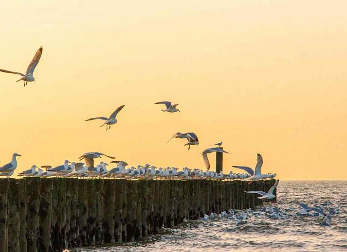 Gemuetliche Kueche im ZE319 Ferienhaus Oostkapelle Walcheren mit Essecke