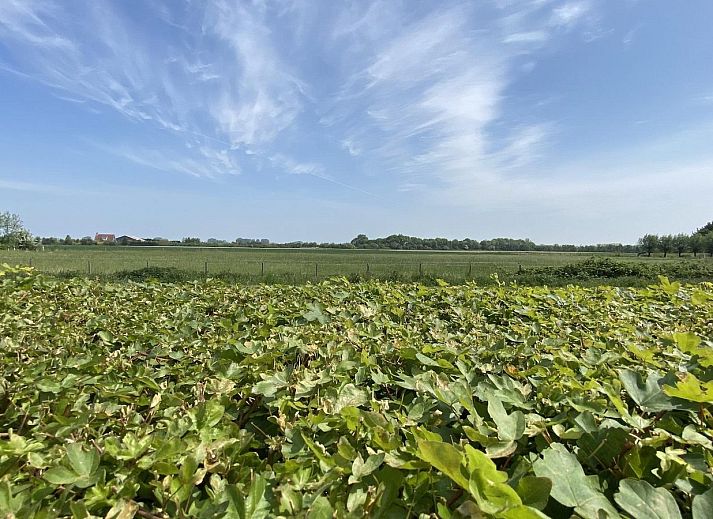 VZ833 Ferienhaus Oostkapelle, moderne Kueche und Essbereich im Ferienhaus Walcheren, Zeeland.