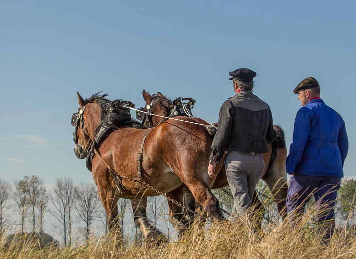 Stilvolles Waschbecken im Ferienhaus ZE320 in Oostkapelle, Walcheren, fuer einen komfortablen Aufenthalt.