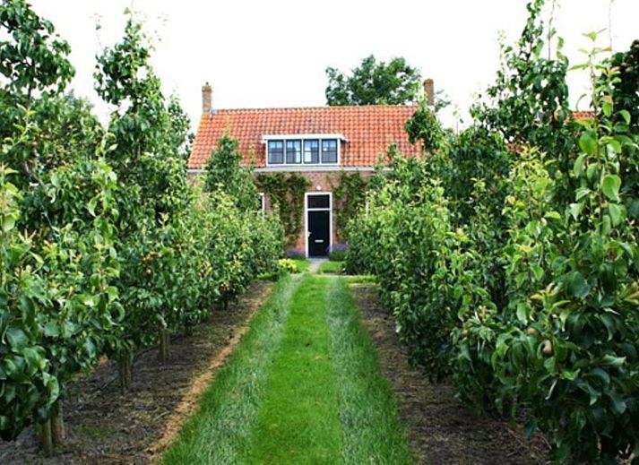 Charmantes Ferienhaus VZ2329 in Oostkapelle mit gruenem Garten auf Walcheren, Zeeland.