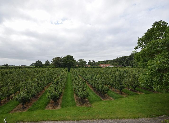 Gemuetliches Wohnzimmer in VZ2329 Ferienhaus Oostkapelle mit komfortabler Sitzecke, Walcheren.