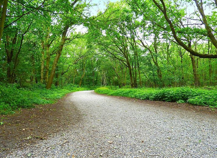 Dining room in VZ073 Holiday bungalow Oostkapelle, Walcheren, Zeeland with garden view.