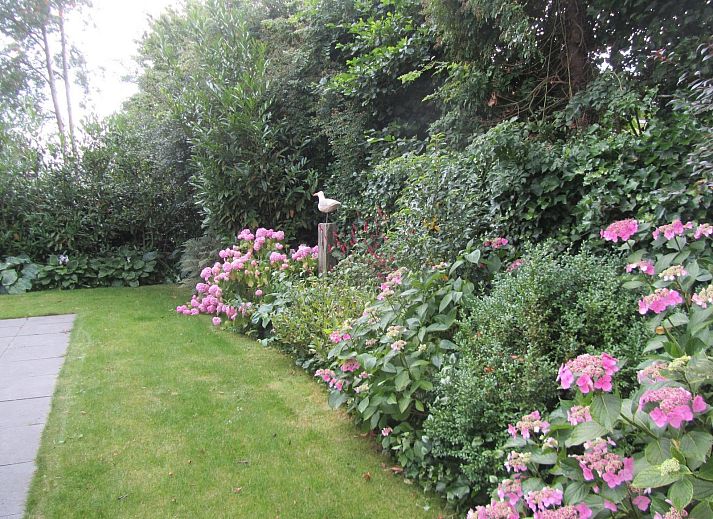 Gemuetliches Wohnzimmer von VZ1185 Modern eingerichteter Ferienbungalow in Oostkapelle in Walcheren, Zeeland.