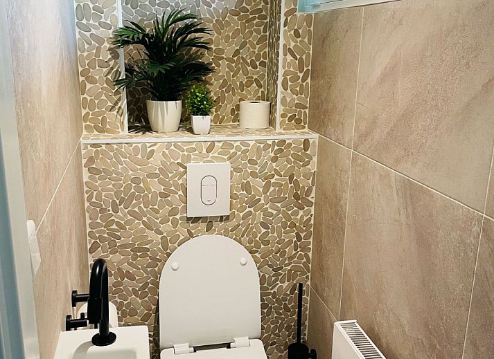 Guest house 6202169 - Holiday property Walcheren - ZE1458