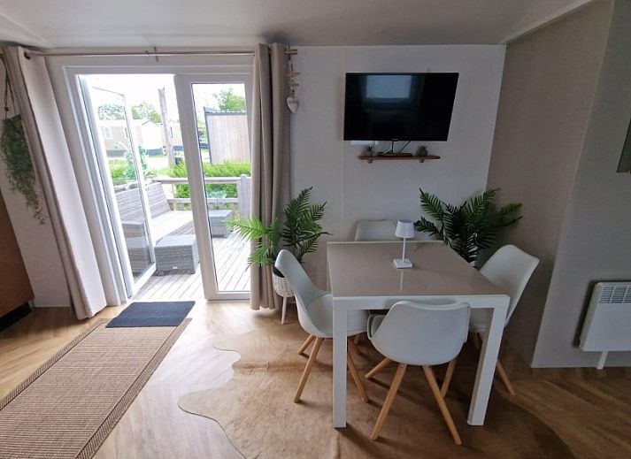 Moewen auf Holzpfaehlen in der Naehe des Wohnmobils von Heiner und Elke Schmidt in Oostkapelle, Walcheren, Zeeland.