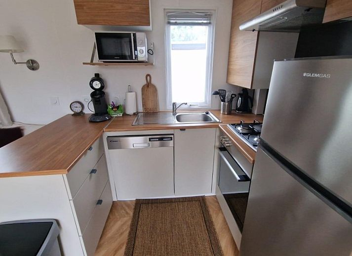 Moewen auf Holzpfaehlen in der Naehe des Wohnmobils von Heiner und Elke Schmidt in Oostkapelle, Walcheren, Zeeland.