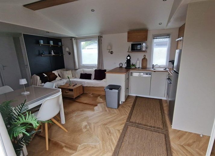 Moewen auf Holzpfaehlen in der Naehe des Wohnmobils von Heiner und Elke Schmidt in Oostkapelle, Walcheren, Zeeland.