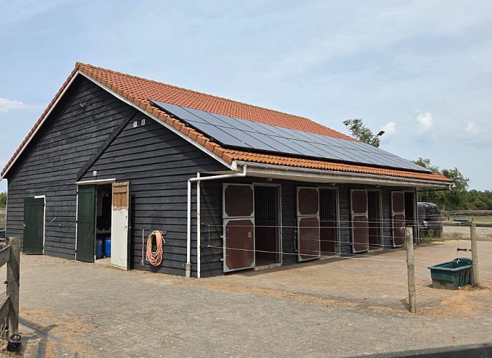 Guest house 6202176 - Holiday property Walcheren - ZE1548