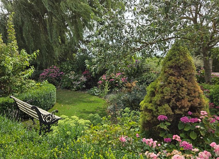 Guest house 6202176 - Holiday property Walcheren - ZE1548
