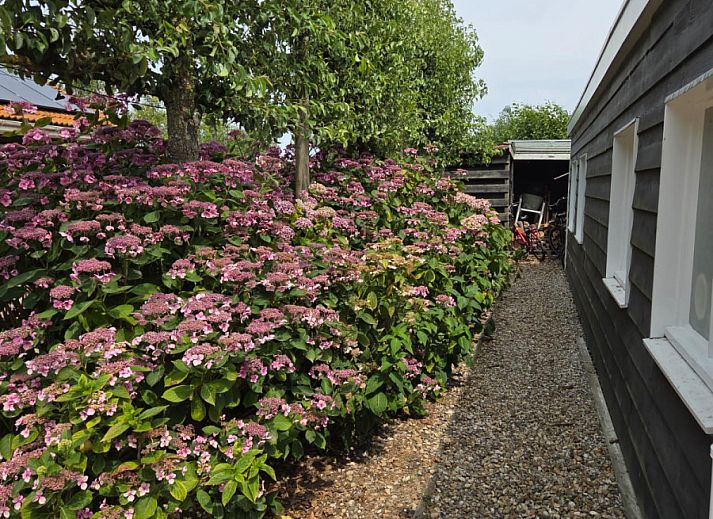 Guest house 6202176 - Holiday property Walcheren - ZE1548