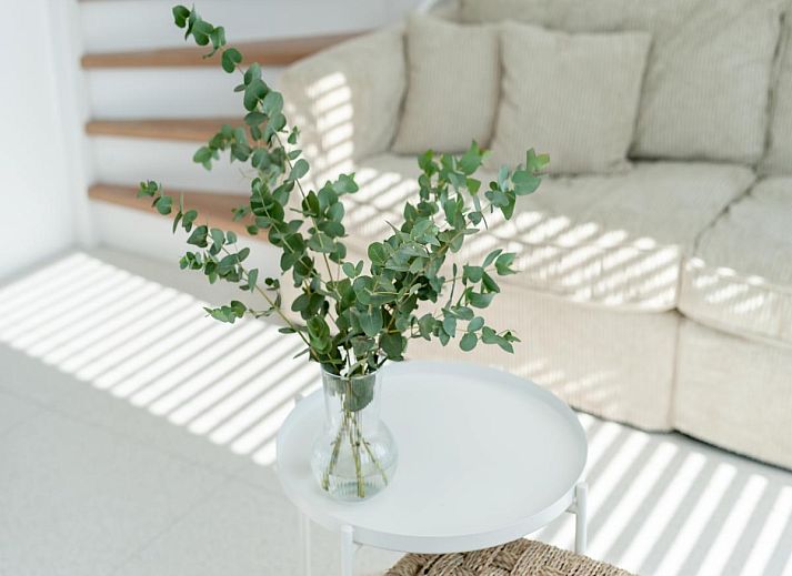 Guest house 6202181 - Holiday property Walcheren - Duin Bos Retreat Oostkapelle